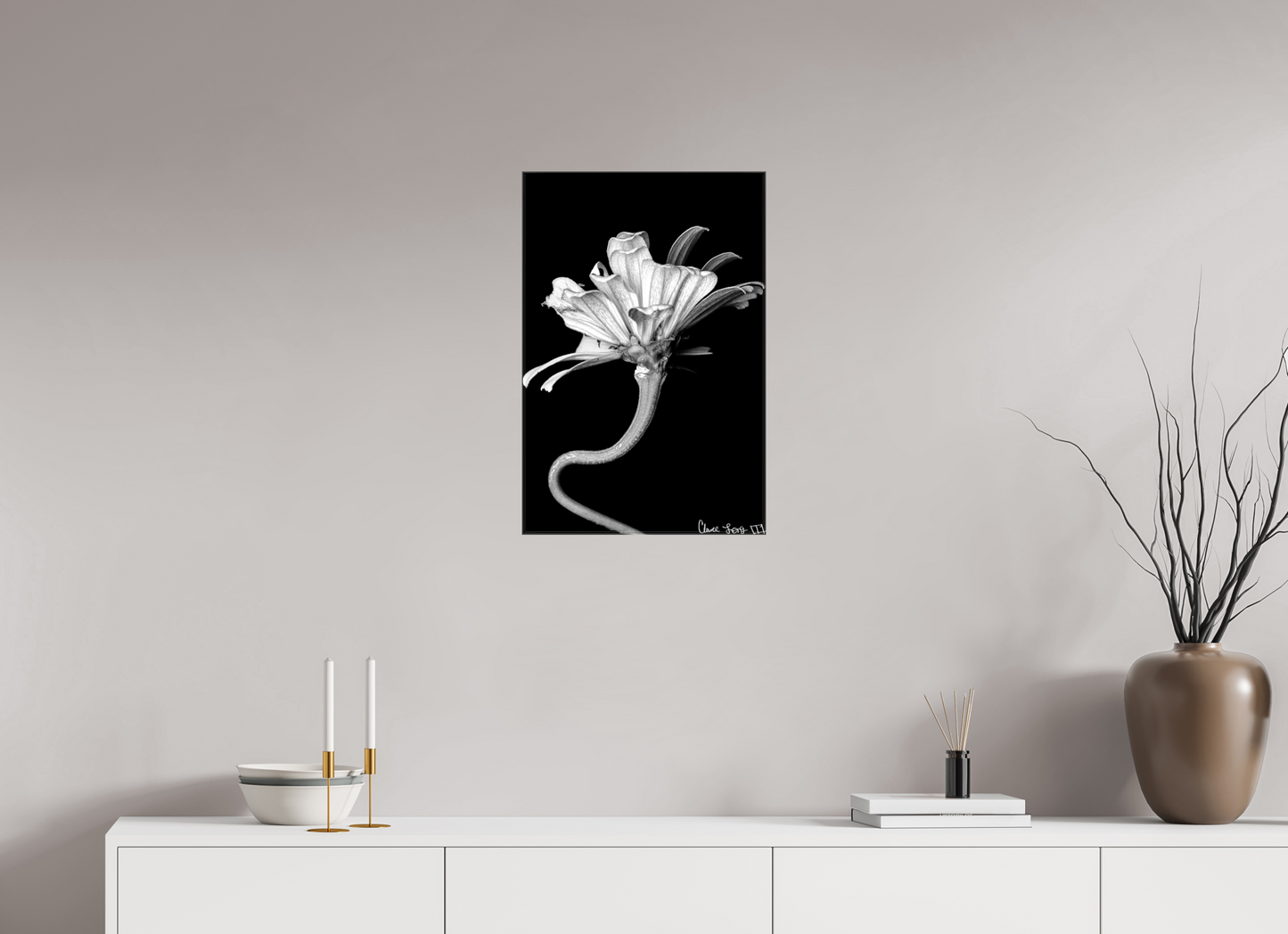 16 x 24″, Glossy Canvas Kingsnake’s Florescence