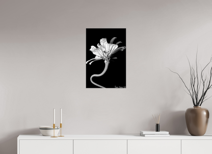 16 x 24″, Glossy Canvas Kingsnake’s Florescence