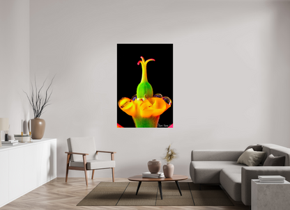 40 x 60″, Acrylic Bubble Fountain