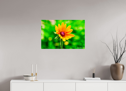 30 x 20″, Glossy Metal Stillness in the Blur