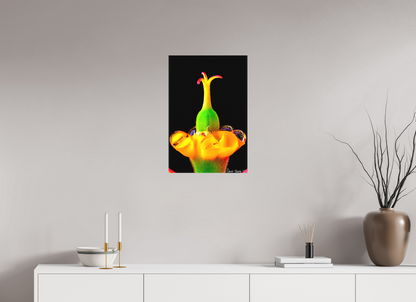 16 x 24″, Matte Canvas Bubble Fountain