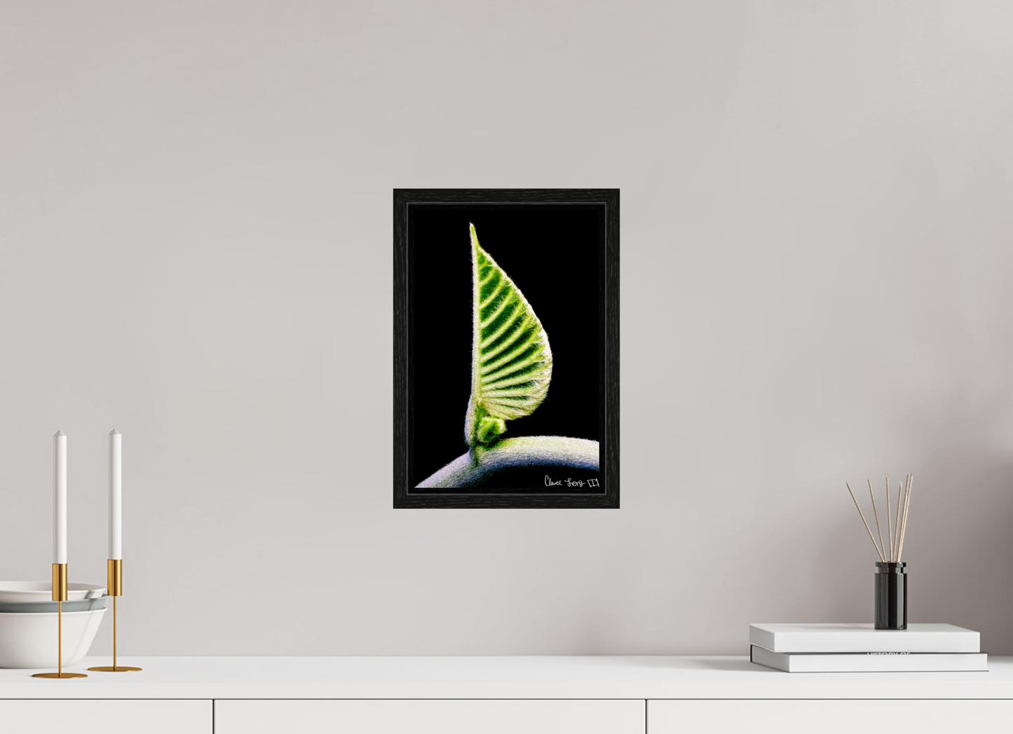 8 x 12″, Floater Frame Black Oak Ocean Odyssey