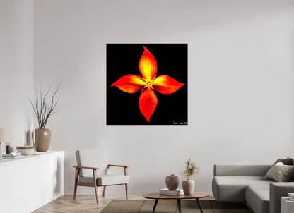 45 x 45″, Glossy Canvas Blazing Compass