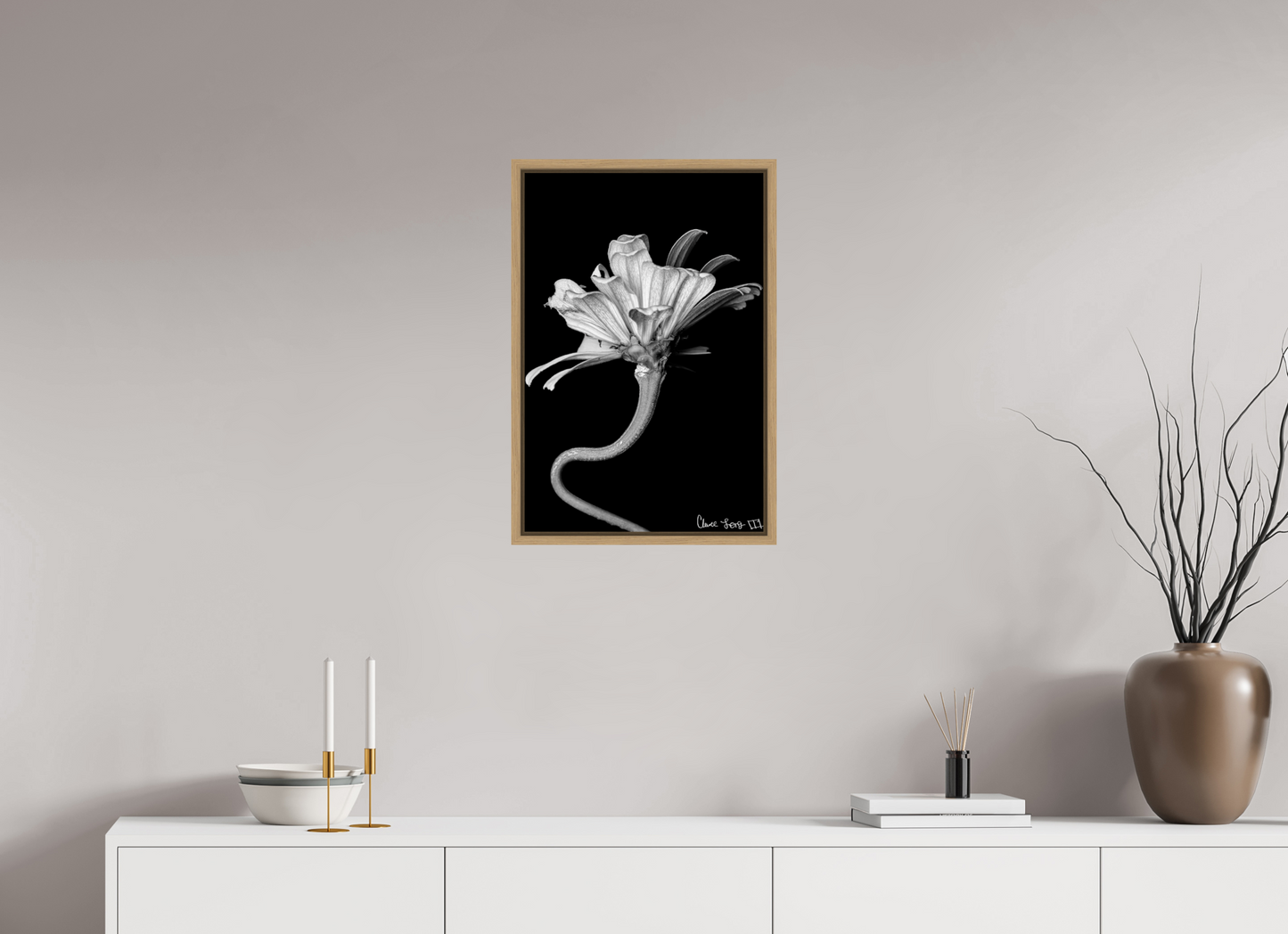 16 x 24″, Floater Frame Natural Oak Kingsnake’s Florescence