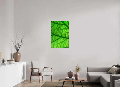 24 x 36″, Glossy Canvas Rivers & Streams