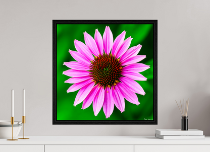 20 x 20″, Floater Frame Black Oak Icosidigon