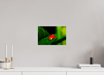 12 x 8″, Acrylic Our Lady Bird
