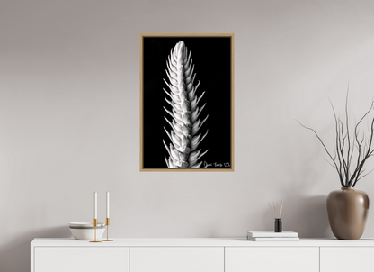 20 x 30″, Floater Frame Natural Oak Vertebrae