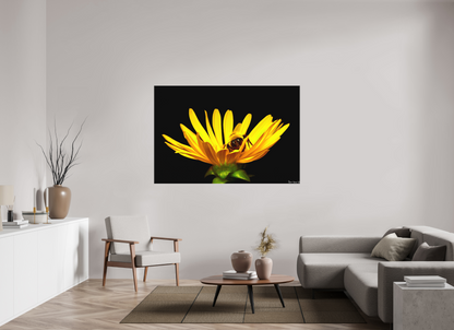 66 x 44″, Matte Canvas Sweet Dreams