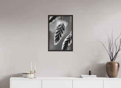 16 x 24″, Floater Frame Alder Brown Achromatize