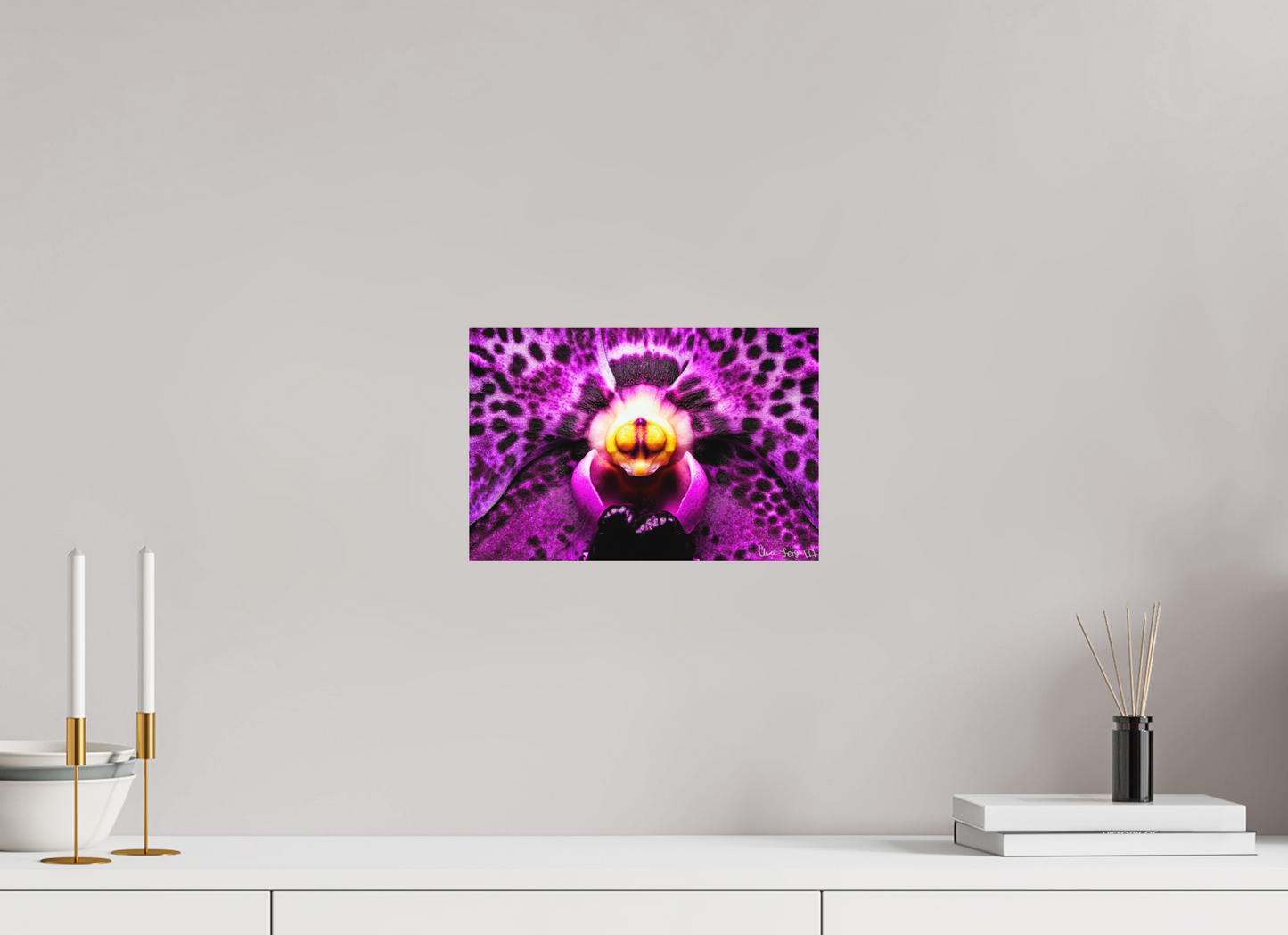 12 x 8″, Forex Piercing Gaze