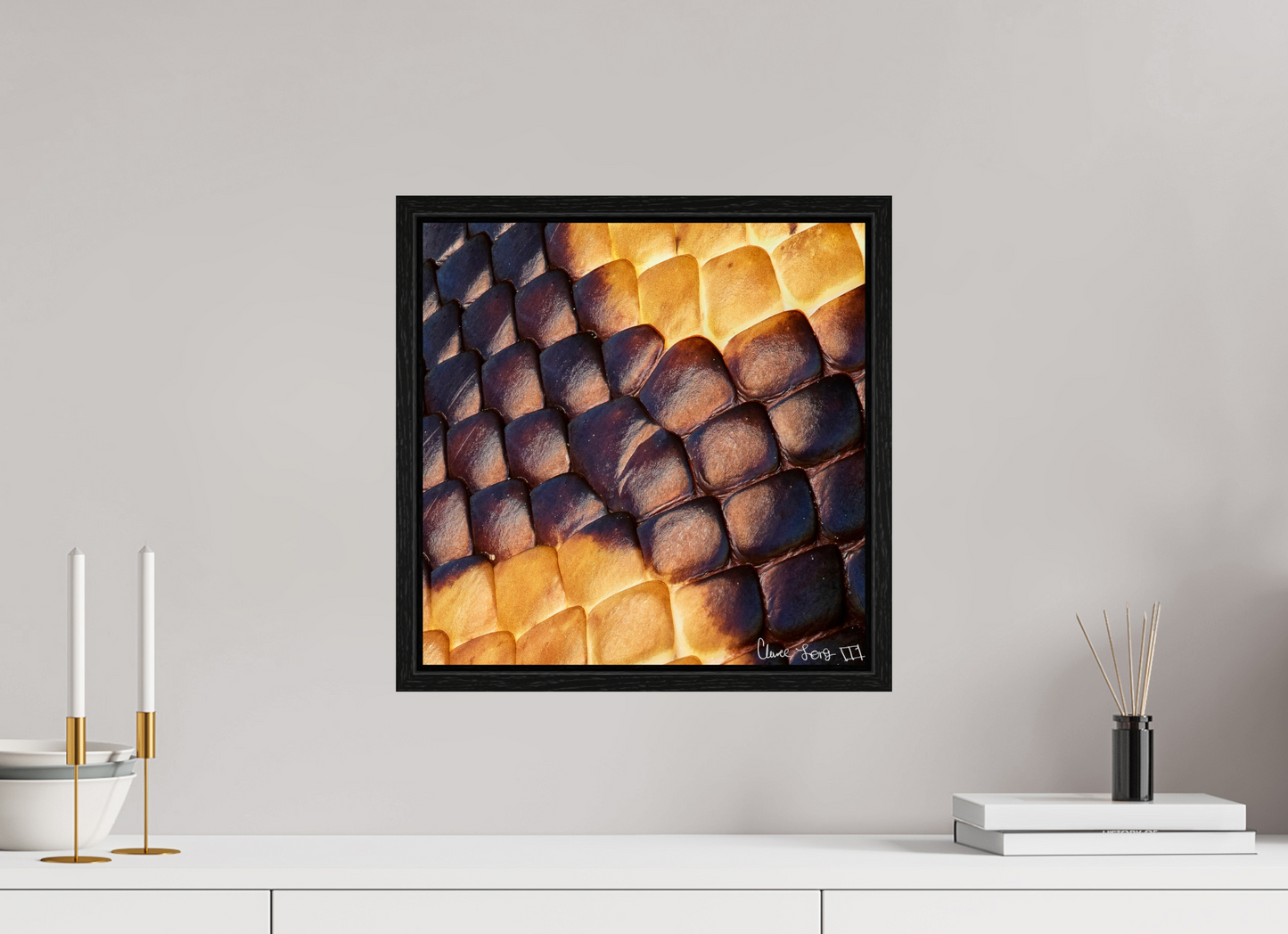 15 x 15″, Floater Frame Black Oak Python’s Glow