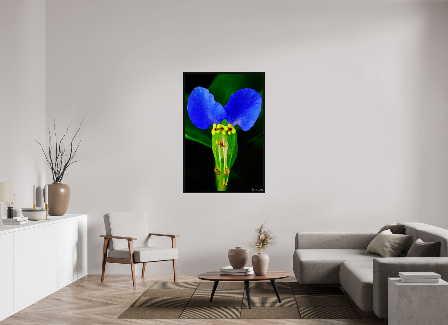 36 x 54″, Floater Frame Black Oak Asiatic Dayflower