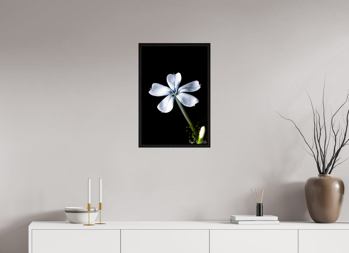 16 x 24″, Floater Frame Black Oak Silver Petals