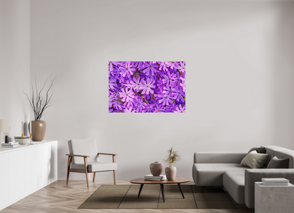 54 x 36″, Matte Metal Lavender Moss Phlox