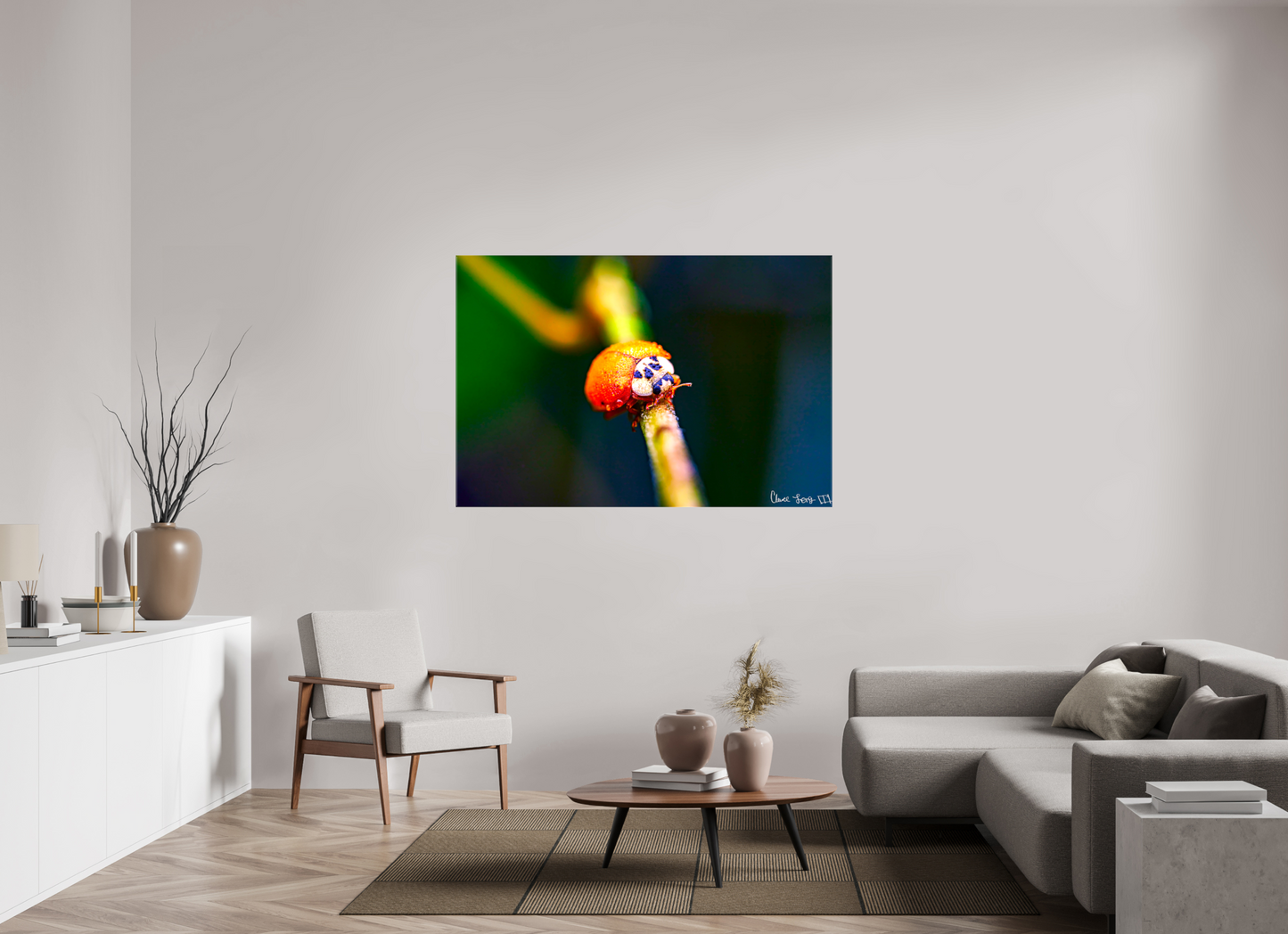60 x 40″, Glossy Canvas Dew-Kissed Ladybug