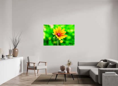 54 x 36″, Glossy Canvas Stillness in the Blur