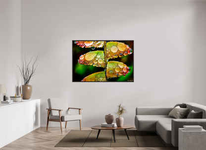 60 x 40″, Floater Frame Alder Brown Monarch’s Abundance