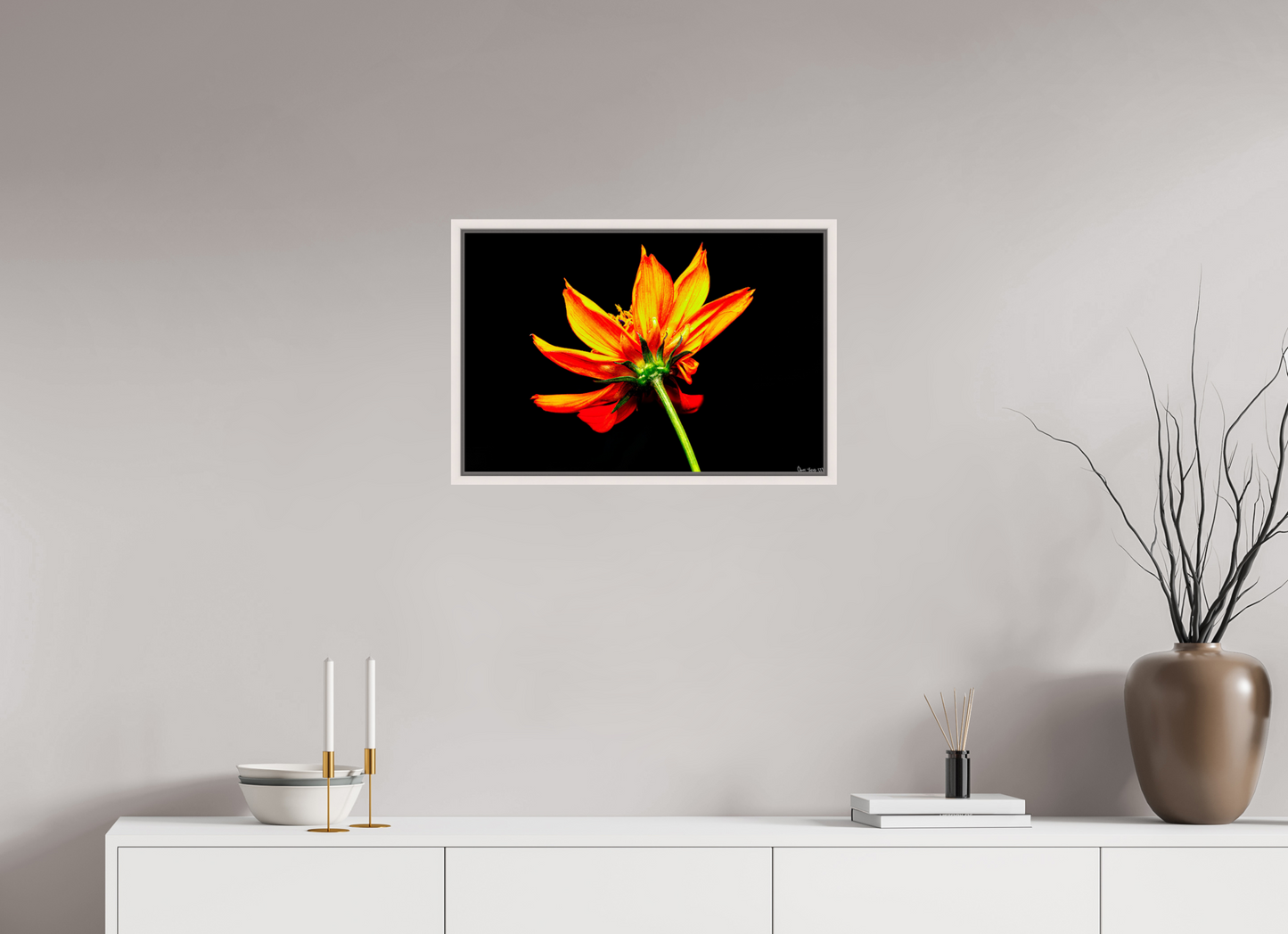 24 x 16″, Floater Frame Maple White Soaring Phoenix