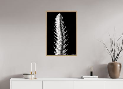 20 x 30″, Floater Frame Natural Oak Vertebrae