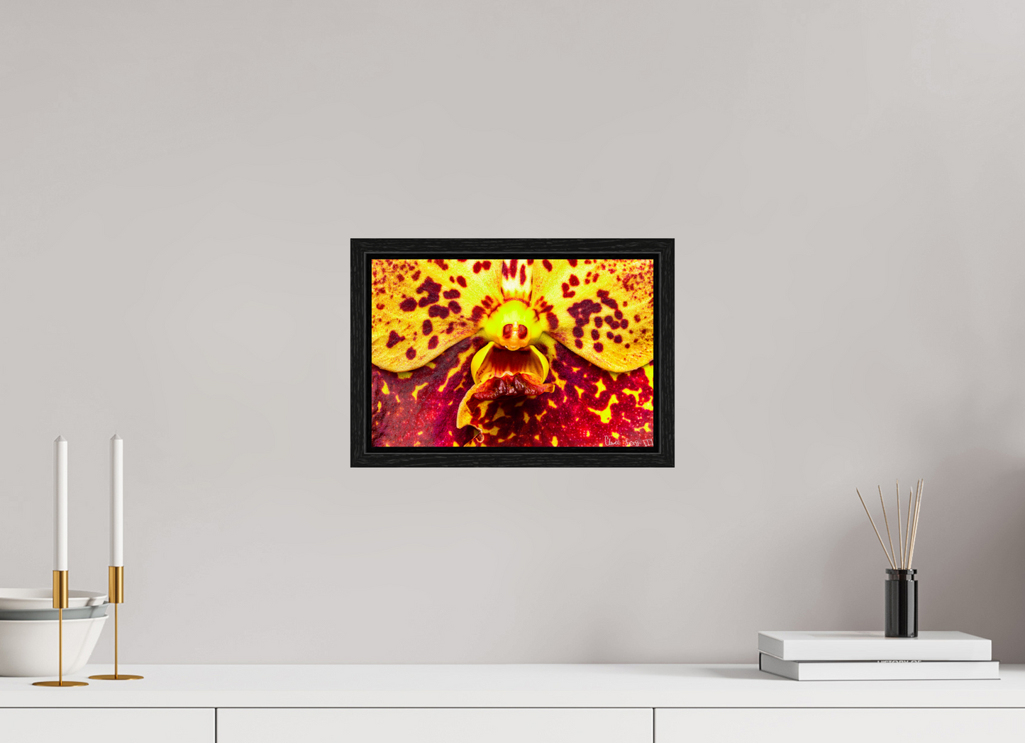 12 x 8″, Floater Frame Black Oak The Flying Thing