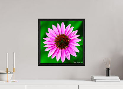 15 x 15″, Floater Frame Black Oak Icosidigon