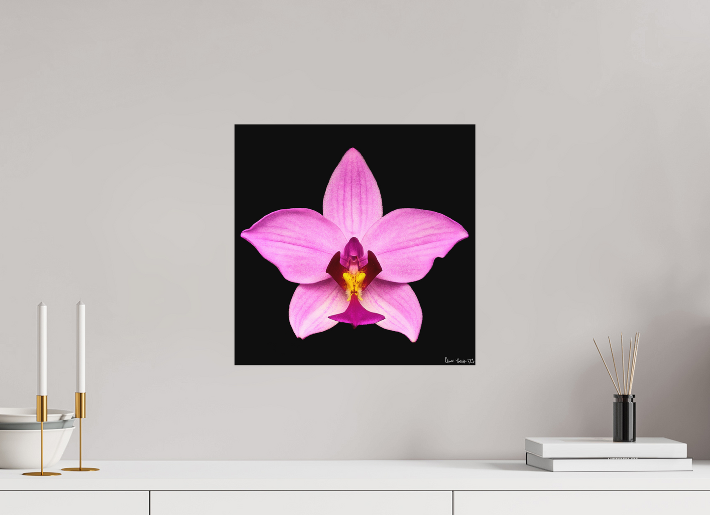 15 x 15″, Direct Print on Aluminum Dibond Default Bubblegum Star