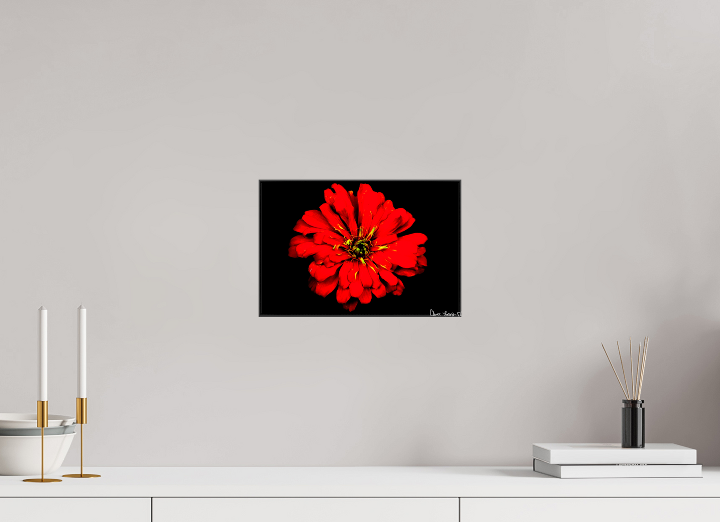 12 x 8″, Glossy Canvas Zinnia of Fire