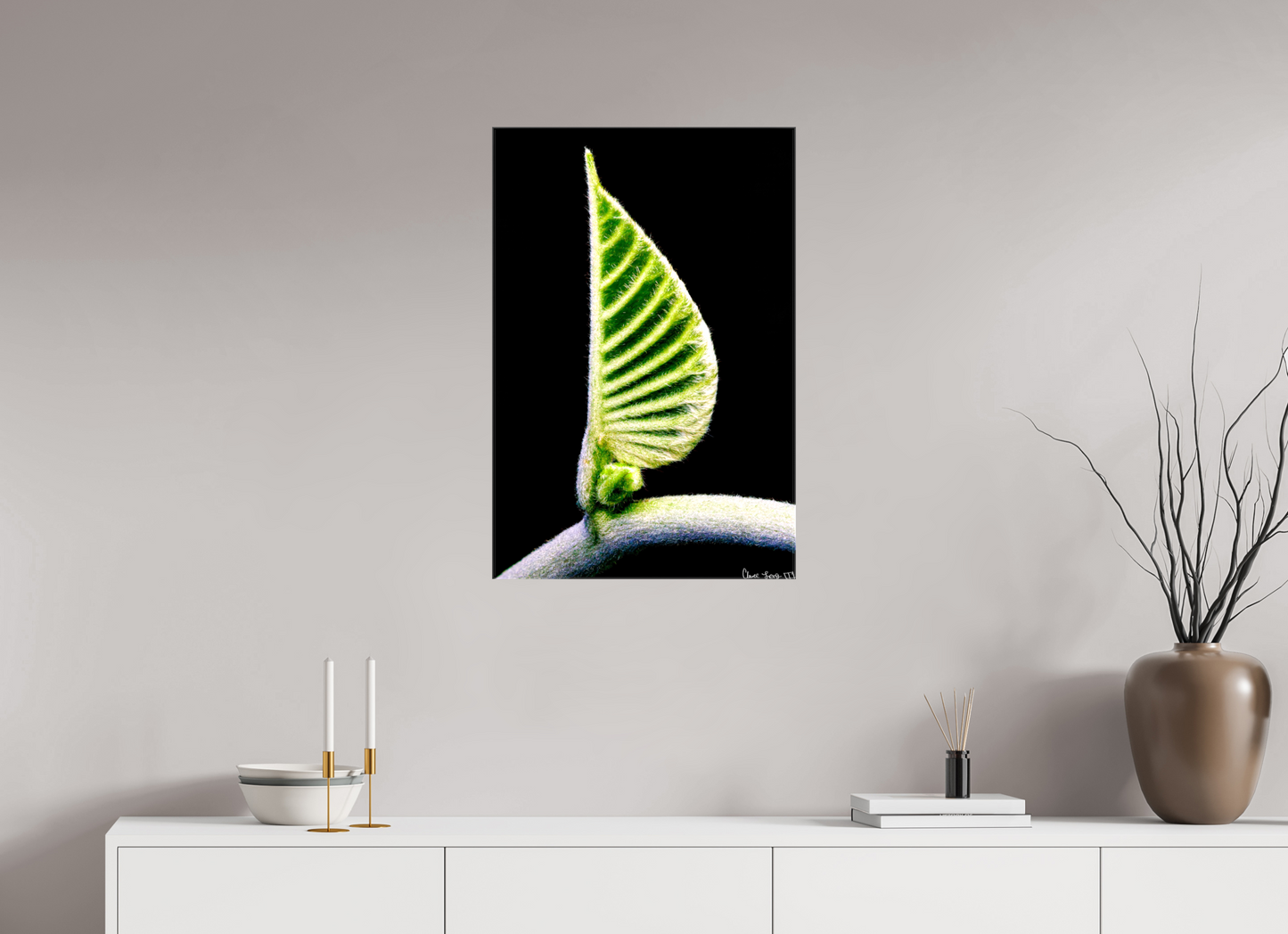 20 x 30″, Glossy Canvas Ocean Odyssey