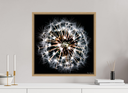 20 x 20″, Floater Frame Natural Oak Starburst