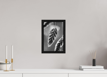 8 x 12″, Floater Frame Black Oak Achromatize