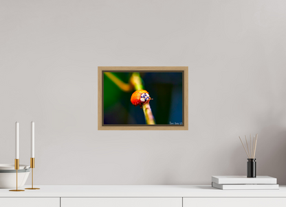 12 x 8″, Floater Frame Natural Oak Dew-Kissed Ladybug