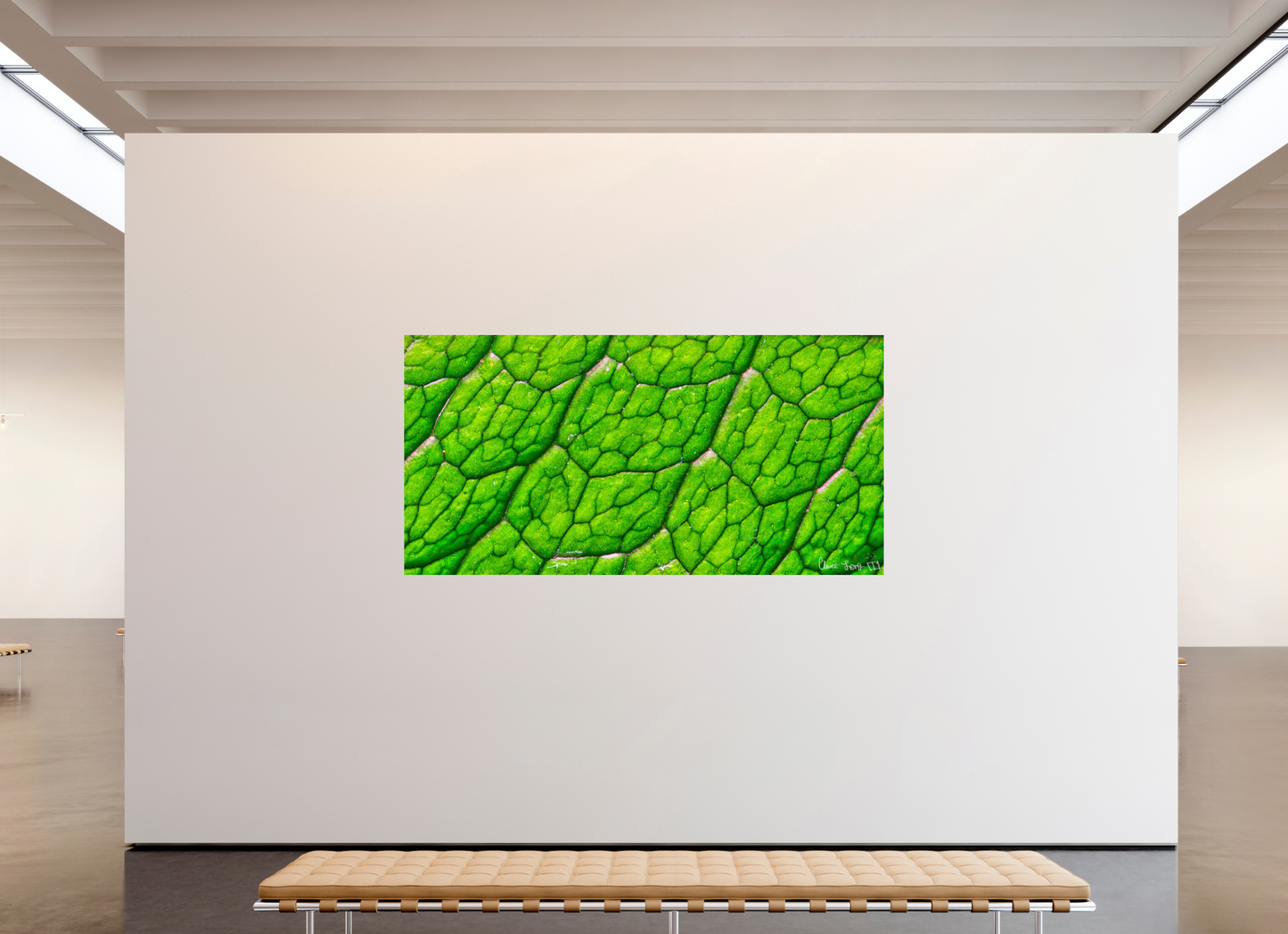 94 x 47″, Glossy Metal Uniformed Venation