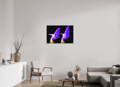 36 x 24″, Matte Canvas Coleus Barbatus