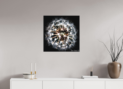 25 x 25″, Matte Canvas Starburst