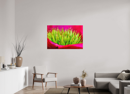 45 x 30″, Matte Metal Spiked