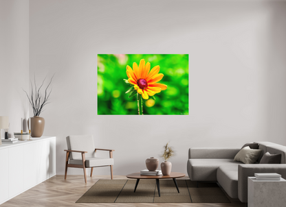 66 x 44″, Matte Metal Stillness in the Blur