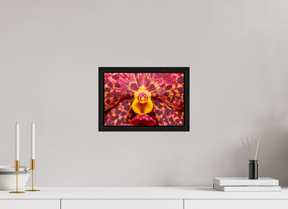 12 x 8″, Floater Frame Black Oak Ignis Victoriae