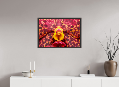 30 x 20″, Floater Frame Alder Brown Ignis Victoriae