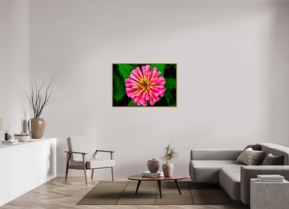 45 x 30″, Floater Frame Natural Oak Peach Summer