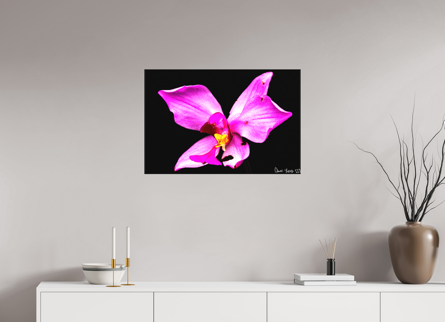 30 x 20″, Matte Canvas Efflorescence