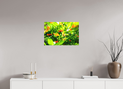 24 x 16″, Matte Canvas Prominence