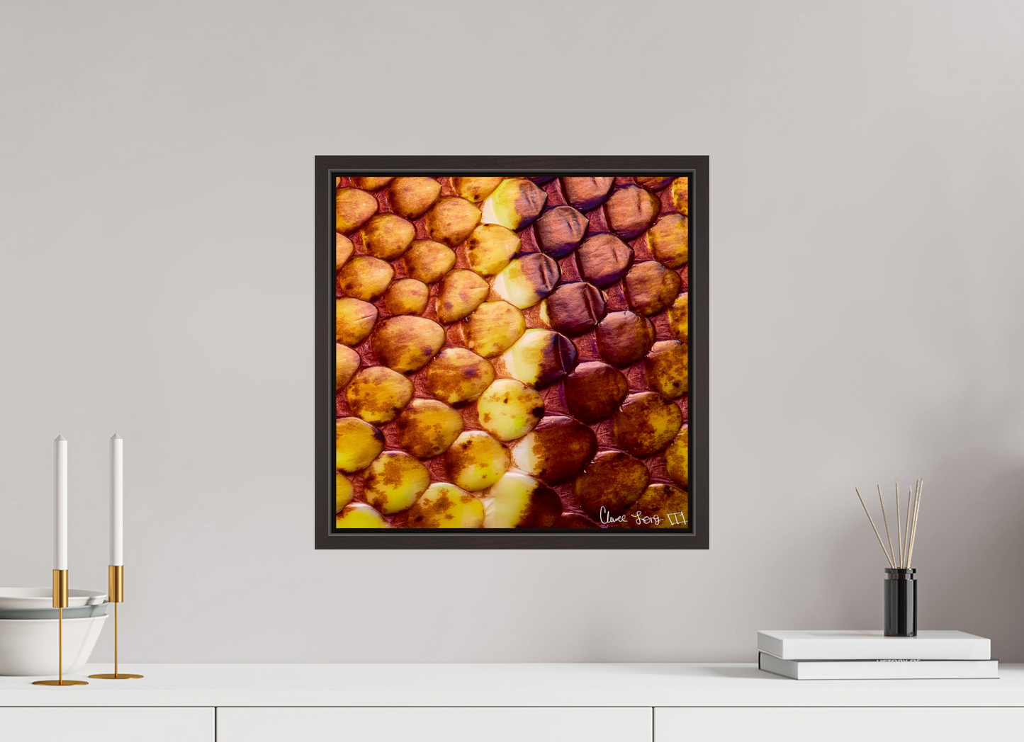 15 x 15″, Floater Frame Alder Brown Reptilian Divide