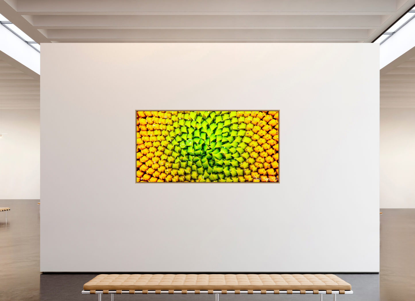 86 x 43″, Floater Frame Natural Oak Geometric Harmony