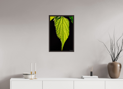 16 x 24″, Floater Frame Alder Brown Eternal Glow