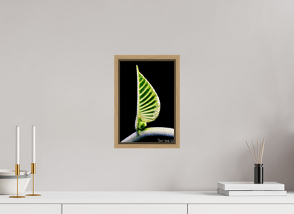 8 x 12″, Floater Frame Natural Oak Ocean Odyssey