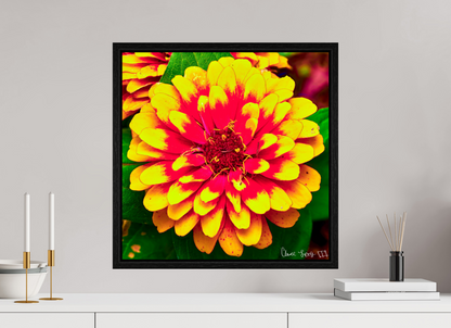 20 x 20″, Floater Frame Black Oak Radiance