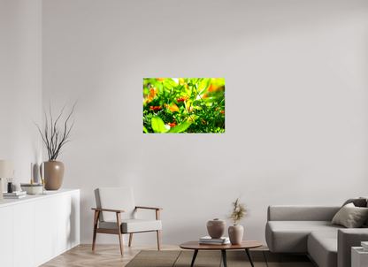 36 x 24″, Glossy Canvas Prominence