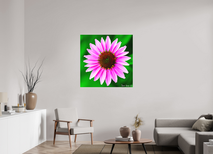 40 x 40″, Matte Canvas Icosidigon
