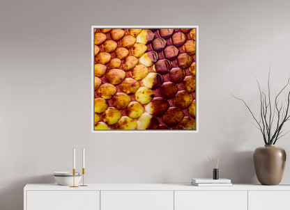 30 x 30″, Floater Frame Maple White Reptilian Divide